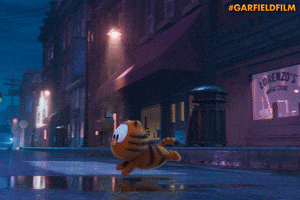 Cat Autos GIF by Sony Pictures Germany