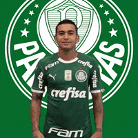 soccer corta GIF by SE Palmeiras