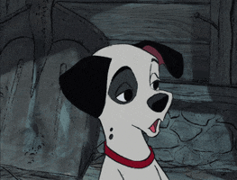 101 dalmatians dog GIF by Disney