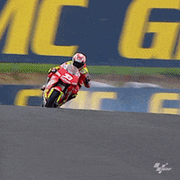 awesome phillip island GIF by MotoGP