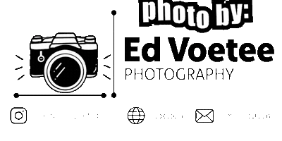 Foto Photo By Sticker by Meidenvoetbal  vvgz Zwijndrecht