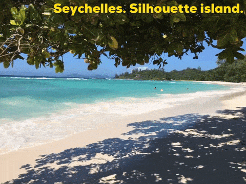 Seychelles meme gif