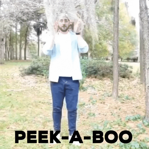 Peek-A-Boo Hello GIF by I Love That For You