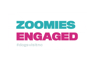 Excited Travel Sticker by visitnc