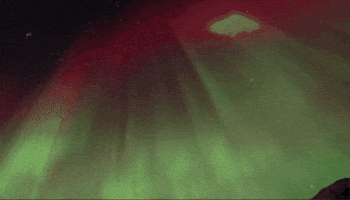 Travel GIF