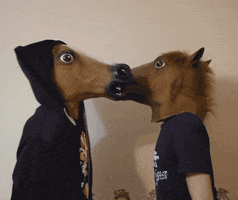 Horse Kissing GIF