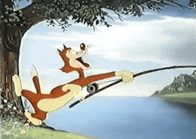 Cat GIF