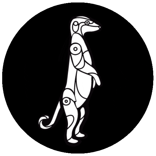 Animation Video Sticker by Social Animals