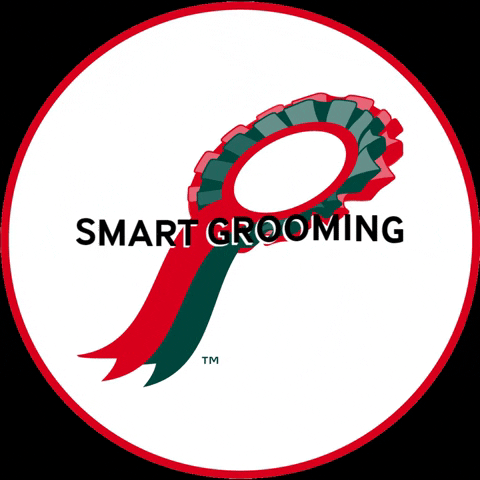 Smartgrooming horse showing grooming equine GIF