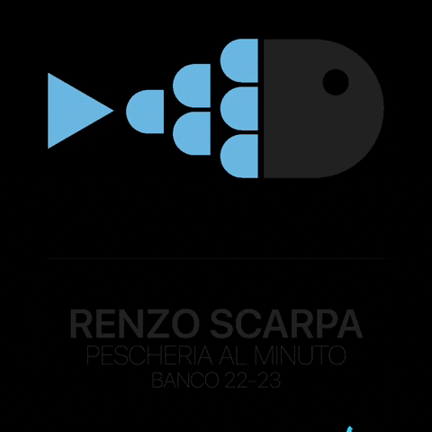 scarpastefano GIF