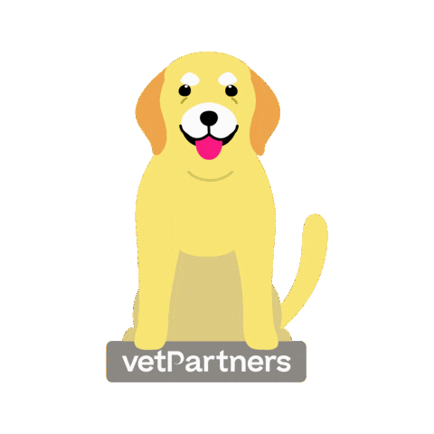 Vetmed Olddog Sticker by VetPartners