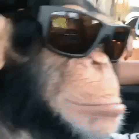 Video gif. A chimp sitting in a car starts dancing, and pushes his sunglasses up when they start to slide down his face.