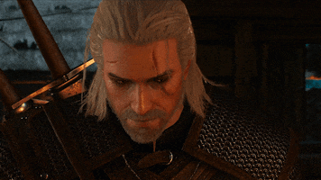 witcher 3 cheers GIF