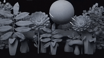 Djpho Camila Venegas Camila Pez Onyx Animation GIF