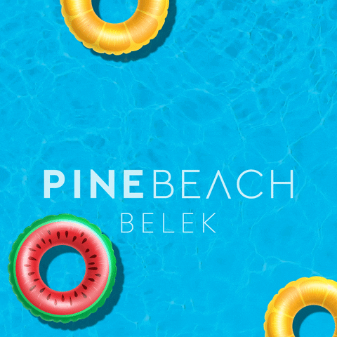 PineBeachBelek summer blue holiday sea GIF