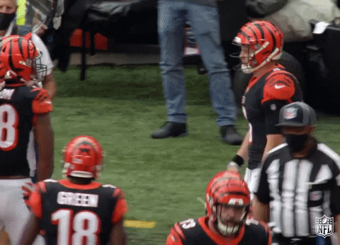 Celebrate Regular Season GIF by NFL - Find & Share on GIPHY