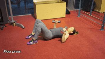 bec8888  GIF