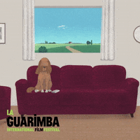 Relaxing Home Sweet Home GIF by La Guarimba Film Festival