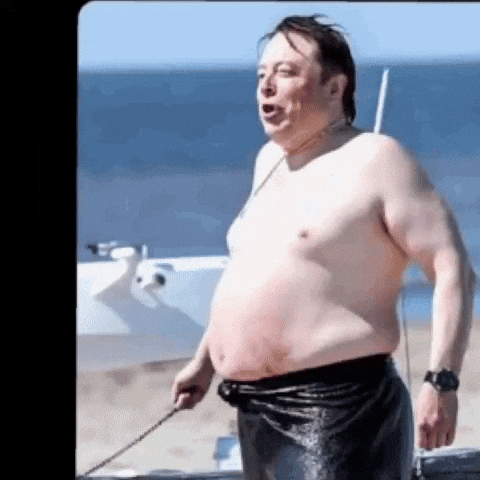 Elon Musk Usaid GIF by Achiloid