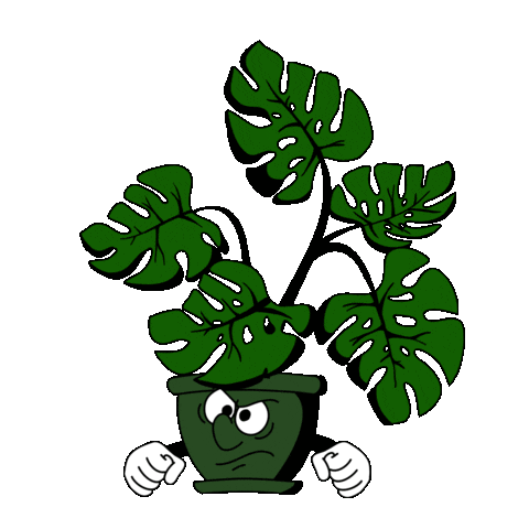 The Beechworth Conservatory Sticker