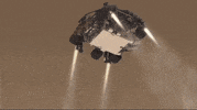 100.gif