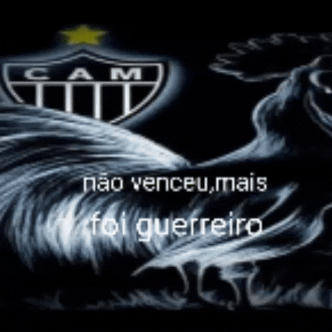 Atlético Mineiro GIF