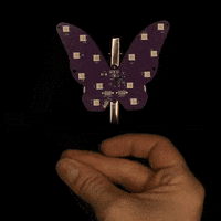 Butterfly Jewelry GIF by bjorn