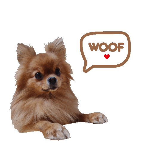 Dog Sticker