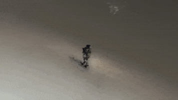GIF by New Moon Productions