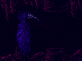 Newnftpurchase GIF