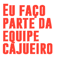Equipe Cajueiro Sticker by Cajueiro Motos
