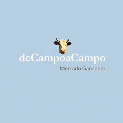 Dcac GIF by deCampoaCampo