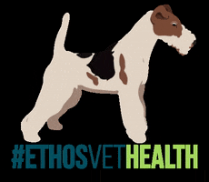 Wire Fox Terrier Dogs GIF by Ethos Vet Health
