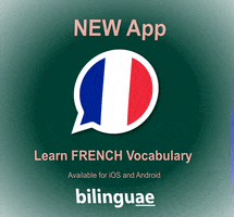 Bilinguae GIF