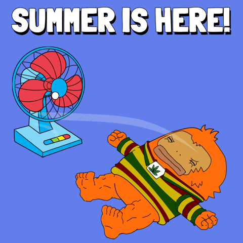 Summer Burning GIF by MonkeesAreKey