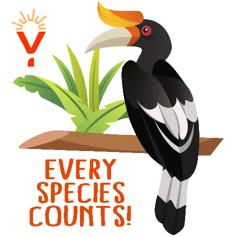 Activism Rays Sticker by RAINFOREST YOUTH SUMMIT