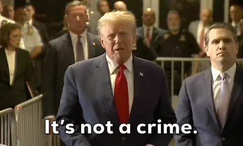 Donald Trump GIF