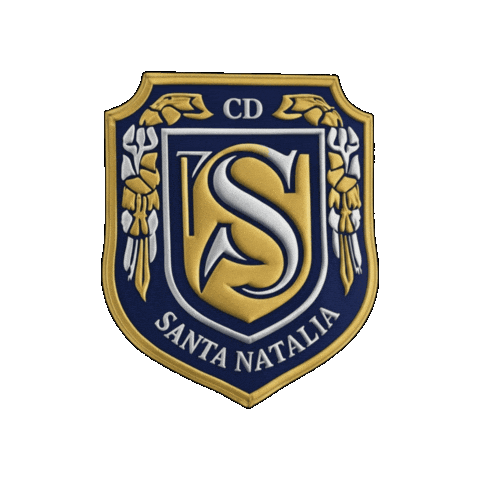 Futbolsanjavier Sticker