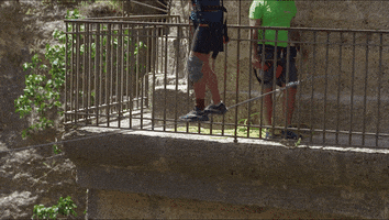 Scared The Amazing Race GIF by CBS