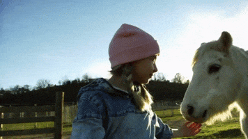 Country Music Horse GIF by Taylor Edwards