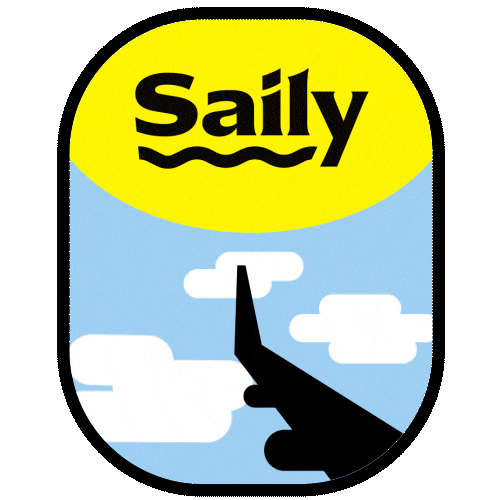 Travel Plane Sticker by Sailyworld