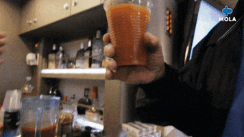 Party Drinking GIF by MolaTV