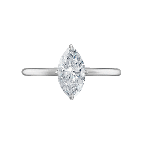 Love You Wedding Sticker by Stephanie Gottlieb