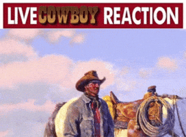Cowboy Live Reaction GIF
