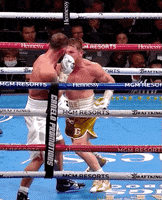 Knockout Sport GIF by SHOWTIME Sports