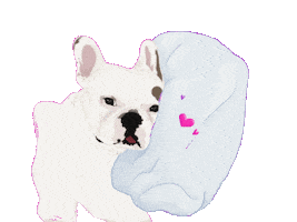 Animated Sticker