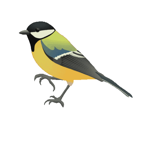 Illustration Sticker