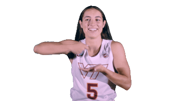 Hokies Sticker