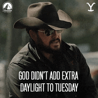 Lets Go Cowboy GIF by Yellowstone