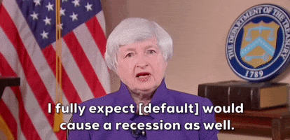 Janet Yellen Debt Ceiling GIF by GIPHY News
